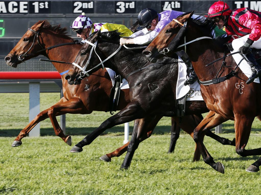 Thoroughbred action in NSW heads to Bathurst and Kempsey on Monday.