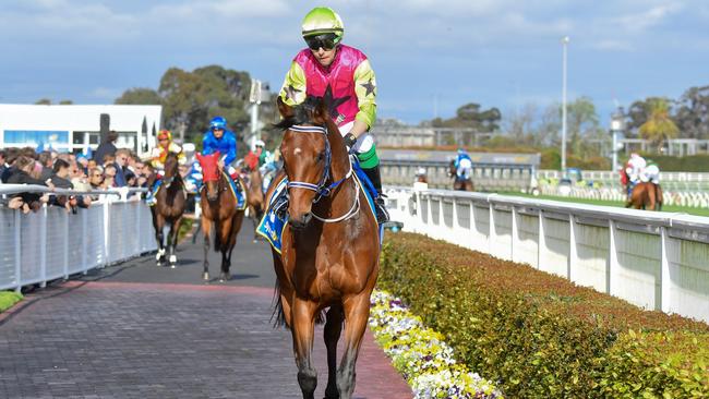 Knight's Choice and Robbie Dolan, pictured on the way to the barriers prior to the running of the Caulfield Cup. Picture: Racing Photos via Getty Images.