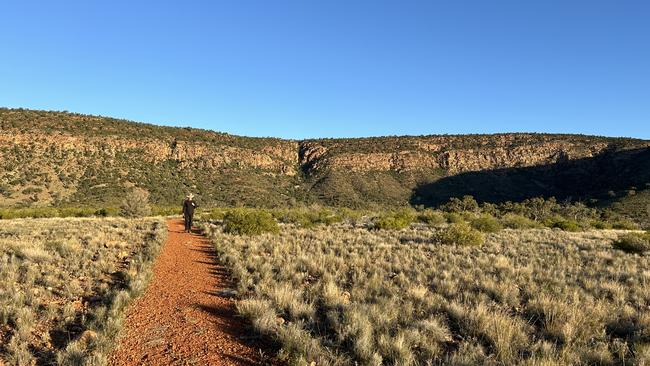 Mount Gundabooka in the late afternoon. Picture: Penny Hunter