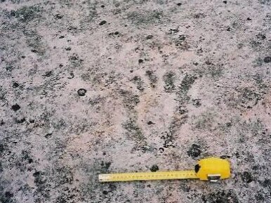 A footprint engraving within the proposed 'Lizard Rock' development at Belrose on 71ha of land owned by the Metropolitan Local Aboriginal Land Council. The image is part of an Urban Design Framework document lodged with the NSW Planning Department. Picture: Cox Architecture