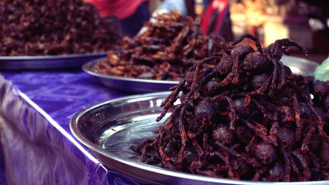 Fried tarantulas in a Cambodian market.