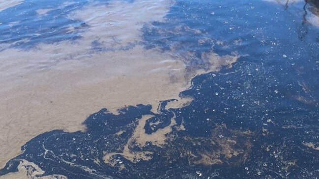 A thick layer of oil was found blanketing the surface of the treatment plant reactors where Port Macquarie’s waste water is treated and discharged as effluent into the nearby Kooloonbung Creek.