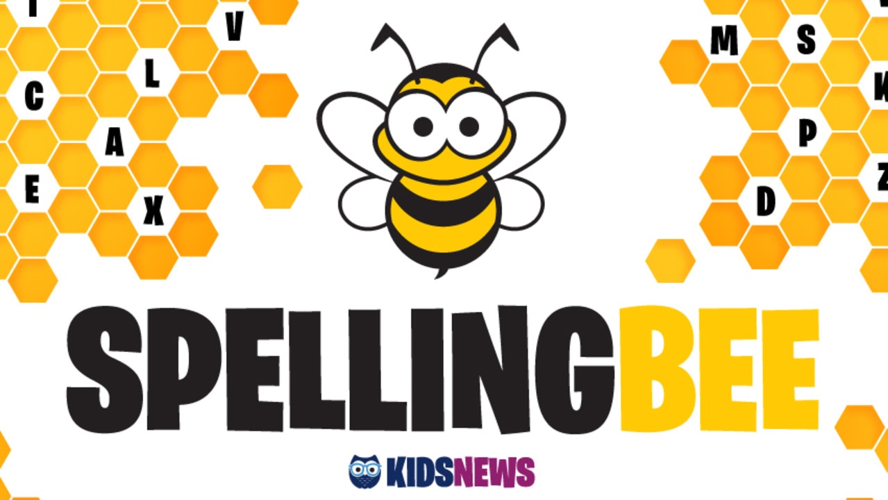 Spelling bee картинки