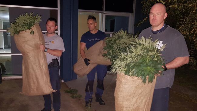 Croydon detectives remove some of the 50kg of cannabis found at an abandoned Bayswater factory on May 5. Picture: Kiel Egging.