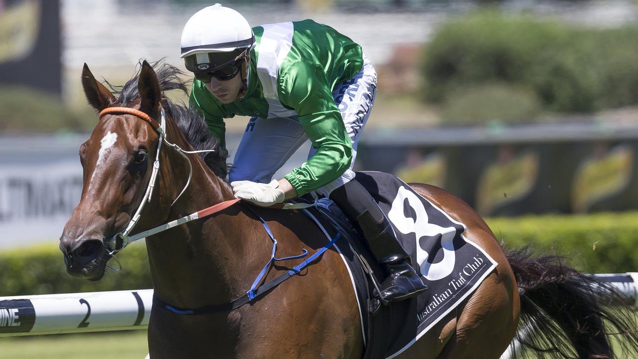 Golden Slipper winner Estijaab won’t race again this year | news.com.au ...