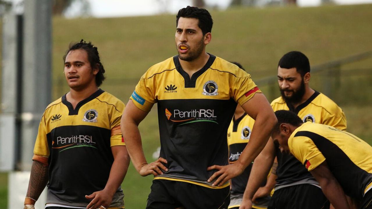 Penrith will return to the Shute Shield in 2019.