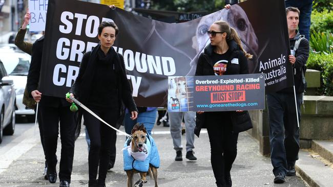 Nora Anderson leads the march with her dog Millie as residents met at Sydney’s Hyde Park last Sunday for their 'March for the murdered million', in support of NSW Premier Mike Baird's proposal to legislate the end of greyhound racing in NSW. Picture: Britta Campion