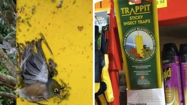 Pressure is mounting on Bunnings to pull a popular product from its shelves as public outrage grows over the “severe suffering” the item can cause. Picture: Supplied