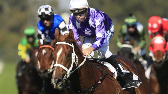 Kubrick drops back in grade and is good odds in the Bondi Stakes. Picture: Getty Images