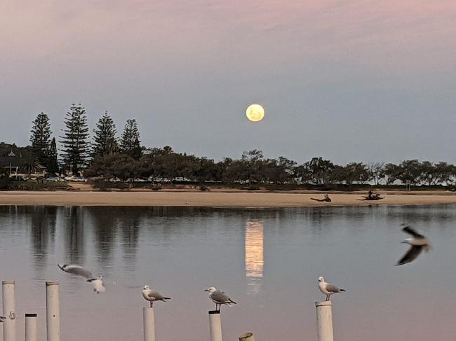 Alyke Norris with this shot of Nambucca as the moon rises. Coffs Cover image.