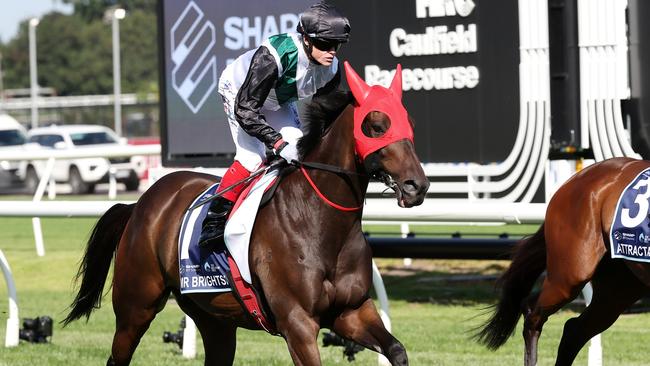 Mr Brightside and Craig Williams on the way to the barriers prior to the All-Star Mile.