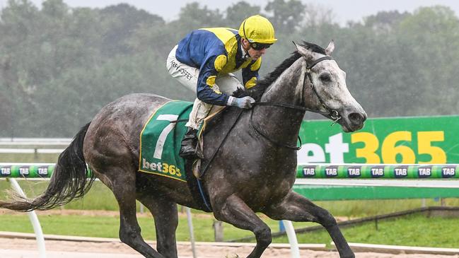 Ex-American galloper Lighthouse won easily in her Australian debut. Picture: Racing Photos via Getty Images