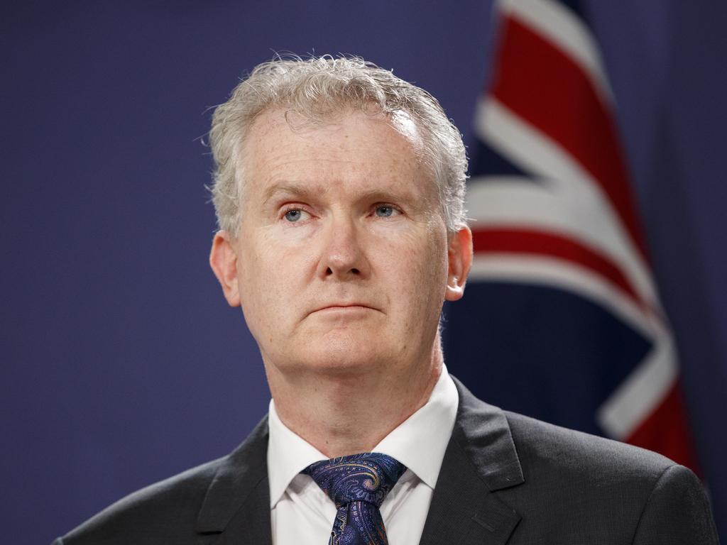 Tony Burke says the decision was made for ‘political expediency’. Picture: Tim Pascoe