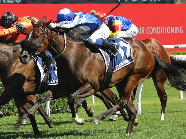 SYDNEY, AUSTRALIA - FEBRUARY 25: Ryan Maloney riding  Sunshine In Paris wins Race 7 Drinkwise Surround Stakes during TAB Chipping Norton Stakes Day - Sydney Racing at Royal Randwick Racecourse on February 25, 2023 in Sydney, Australia. (Photo by Jeremy Ng/Getty Images)