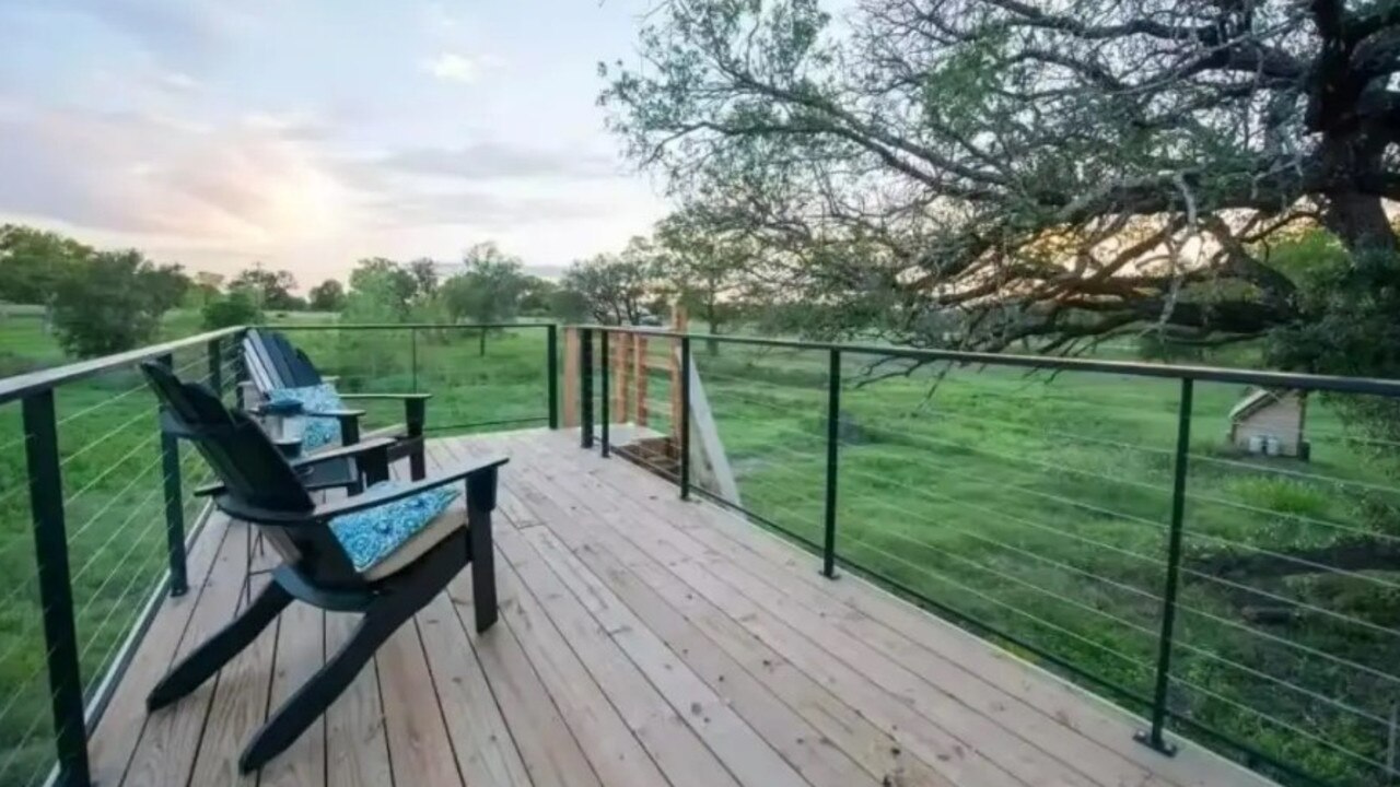 A closer look at nature on your roof deck. Picture: Amazon