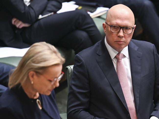 Unlike Peter Dutton, who led the party through one of its most stable periods of opposition, Sussan Ley has challengers waiting in the wings. Picture: NewsWire / Martin Ollman