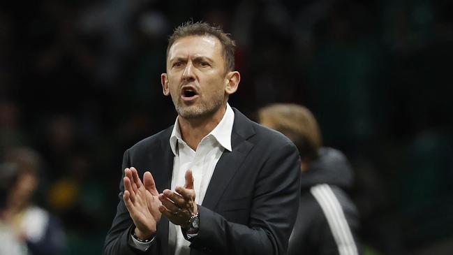 NCA. MELBOURNE, AUSTRALIA. 14th November 2024.  Australian Socceroos vs Suadi Arabia at Melbourne Rectangular Stadium .  Australian coach Tony Popovic gestures from the sideline 1st half   .  Picture: Michael Klein