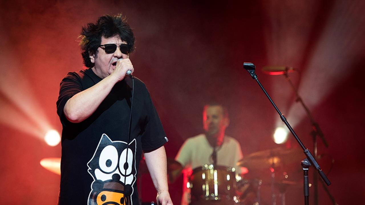 Richard Clapton musical career