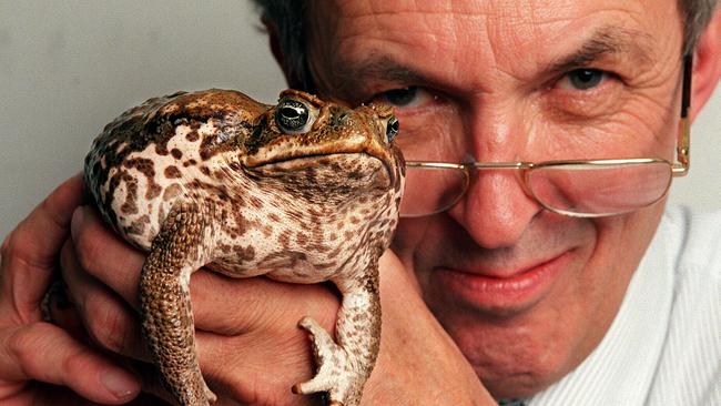 Mike Tyler holding cane toad. Animal / Frog