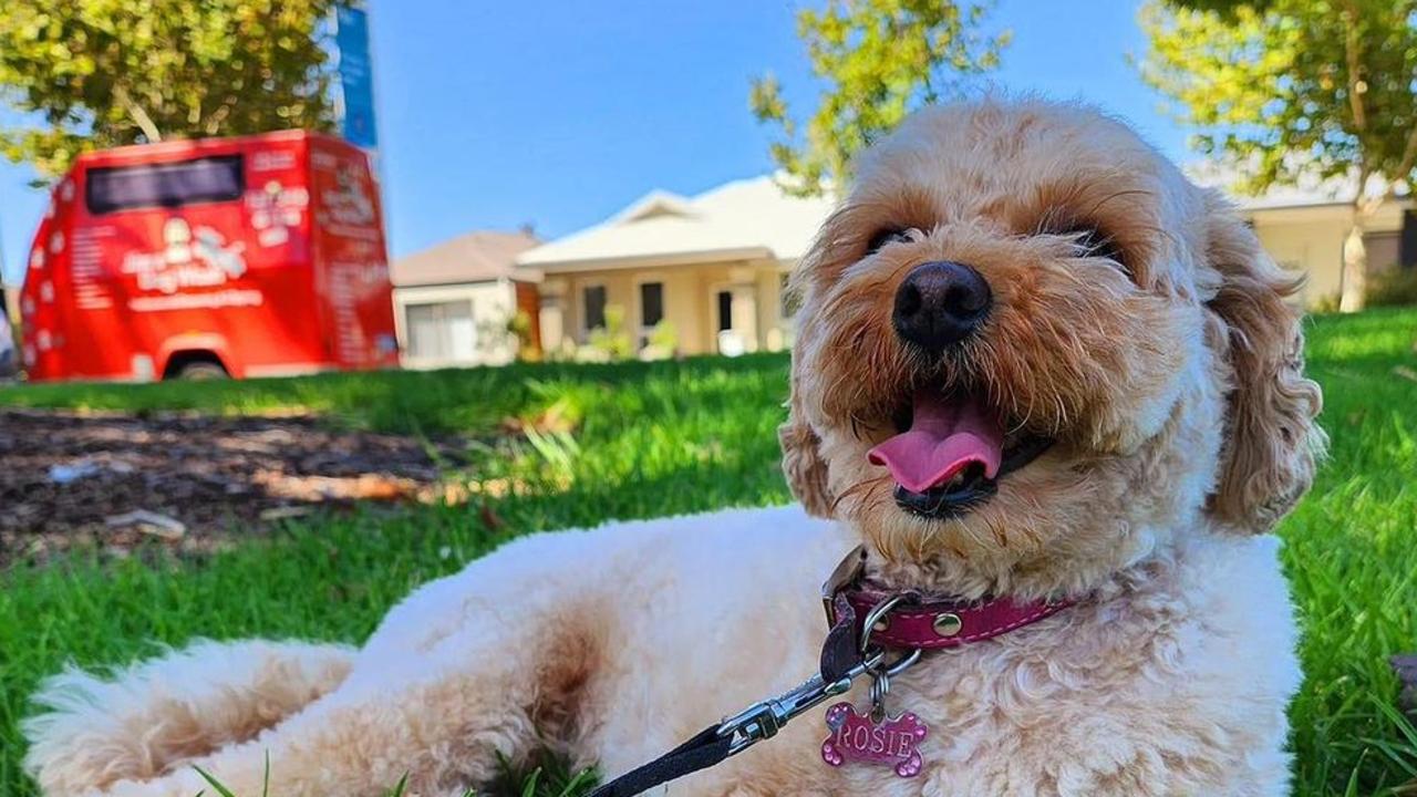 Jims Dog Wash fell foul of Victorian environmental protection laws. Picture: Supplied