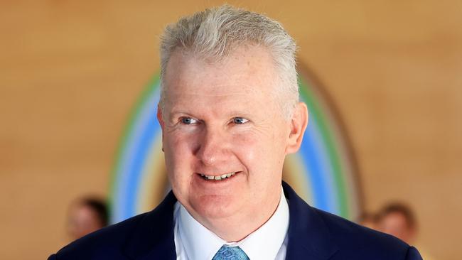 Tony Burke arrives during a State Memorial for the late artist Dr John Olsen at the Art Gallery of NSW.