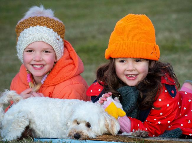 WEEKEND TELEGRAPH: JUNE 11th,2022Beating the cold weather with beanies at Bondi are 5 year olds Claudia Jezewski (left) with friend Indi Martin of Bondi playing with their friends dog Munchie the Moodle.
