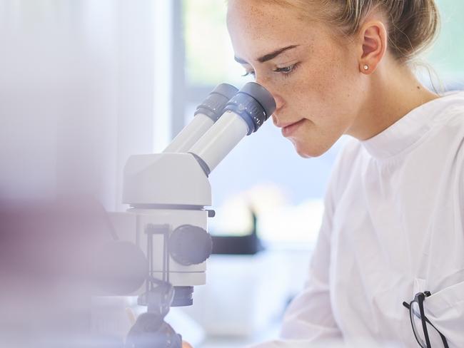 a female research scientist is analysing a sample on her microscope in a microbiology lab .  the lab is brightly lit with natural light . Blurred glassware at side of frame provides copy space .