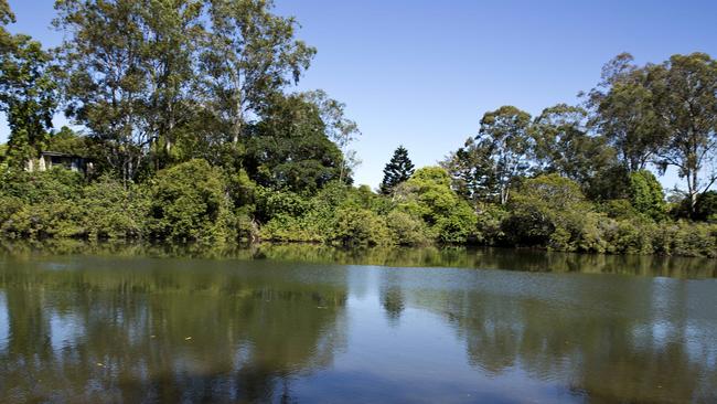 The Nerang River just near the M1 Motorway. Photo: Jerad Williams.