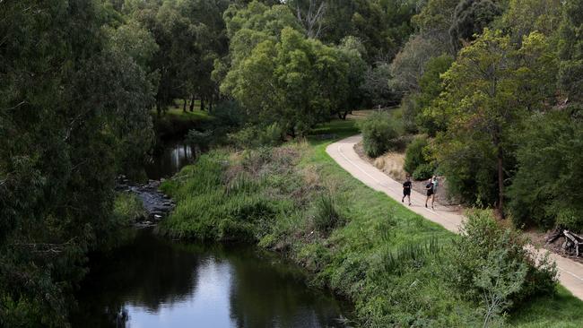 Russo pulled the woman into the water off the Merri Creek trail.