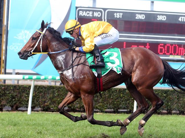 Gold Coast race meeting at Aquis Park. Photo of race number 2 winner number 3 FELINO BEL. Jockey is Daniel Griffin. Trainer is Bryan and Daniel Gay. Photo by Richard Gosling