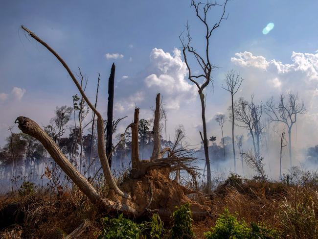 View of a burntout area after a fire in the Amazon rainforest in Brazil. Picture: AFP