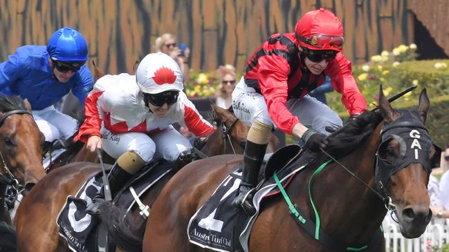 Can Rule The World maintain his unbeaten record in the Spring Stakes? Picture: AAP