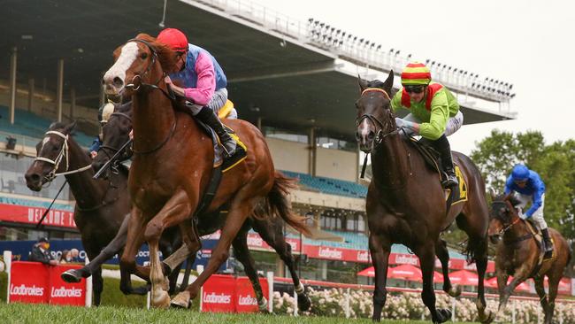 Just Folk ridden John Allen is a horse that should not be overlooked. Photo by Michael Klein