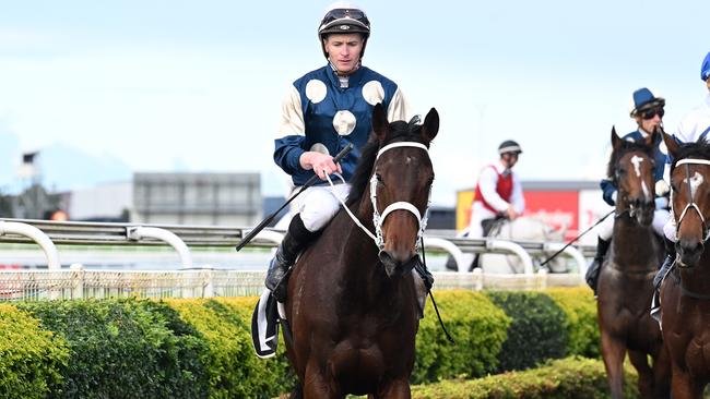 Favourite Scarlet Oak has a tricky draw to overcome if she’s to win the Queensland Oaks. Picture: Grant Peters/Trackside Photography.