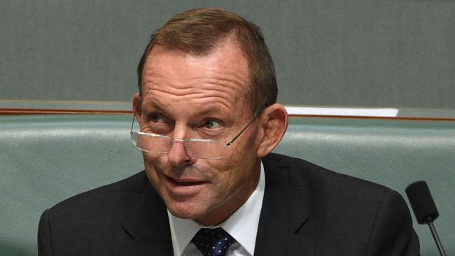 Tony Abbott during question time this week.