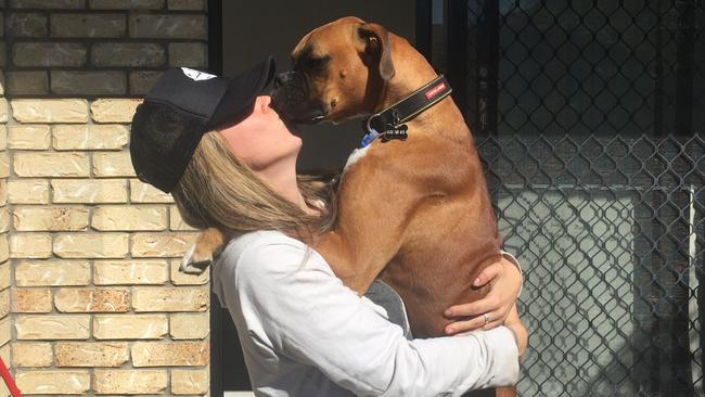 Dog owner Ange Rogers said the prong collar ‘looked like something out of Game of Thrones’ but helped her six-year-old boxer Grohl to behave and not be aggressive when in public.