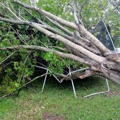 A trampoline crushed by tree brought down by storms that hit Ipswich. Picture: Kathy McNamara