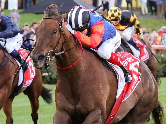 Bella Nipotina ridden by Craig Williams wins the Ladbrokes Manikato Stakes at Moonee Valley Racecourse on October 22, 2022 in Moonee Ponds, Australia. (Photo by George Sal/Racing Photos via Getty Images)