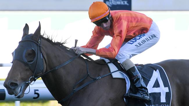 Dreamforce has been well backed to win the George main Stakes. Picture: AAP