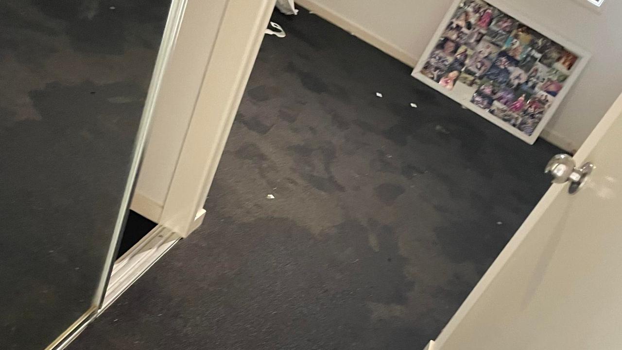 Mr Chambers said he could see footprints on the carpet inside the house.