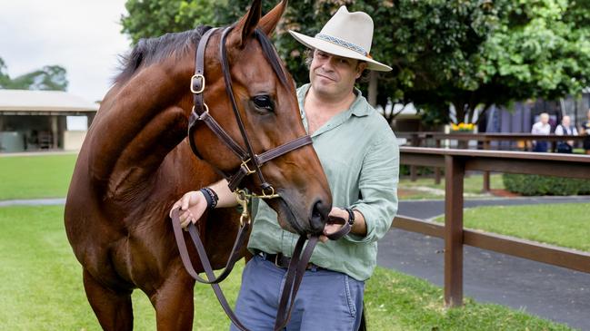 Horse breeder Tom Magnier with racing filly turned broodmare Zougotcha, which he bought for $5.25m at the Magic Millions sales on Tuesday. Picture: Luke Marsden