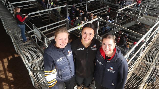 CVLX cattle store sale, Ballarat, L-R; Maddie Dodds, #0434965249, from Ballarat now at University of Adelaide, brought Lucy Fielke & Chantel Stavrides, 3rd year students for placement in Ballarat area,  Picture Yuri Kouzmin