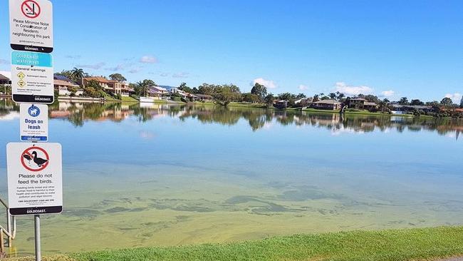 Lake Hugh Muntz has taken on a green tinge.