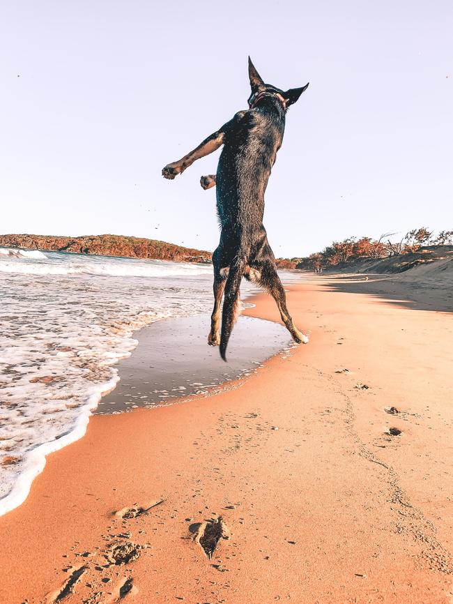 Joie de vivre: Paris on the beach. Picture: Jade Davies