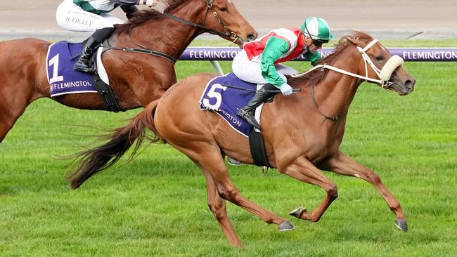 Craig (GB) ridden by Luke Currie wins the Rod Johnson Handicap at Flemington Racecourse on June 22, 2024 in Flemington, Australia. (Photo by George Sal/Racing Photos via Getty Images)