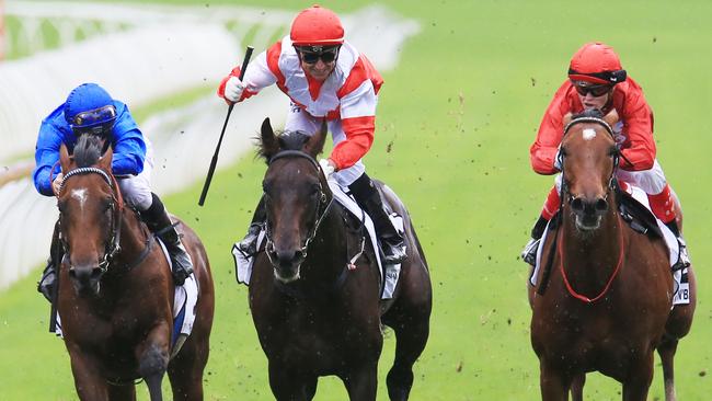 Mongolian Khan is among the favourites for the Caulfield and Melbourne cups. Picture: Mark Evans