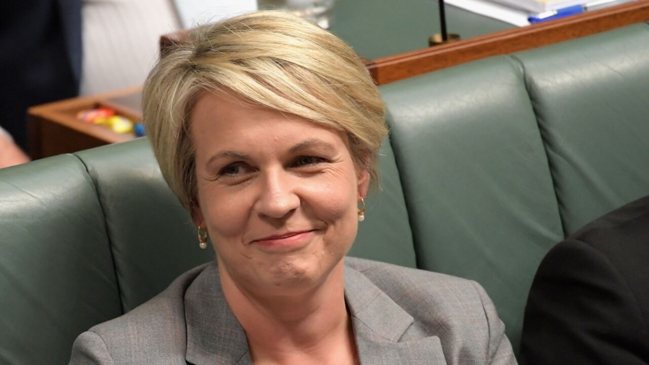 'We've hit the sweet spot': Tanya Plibersek hits back at criticism of environmental enforcer