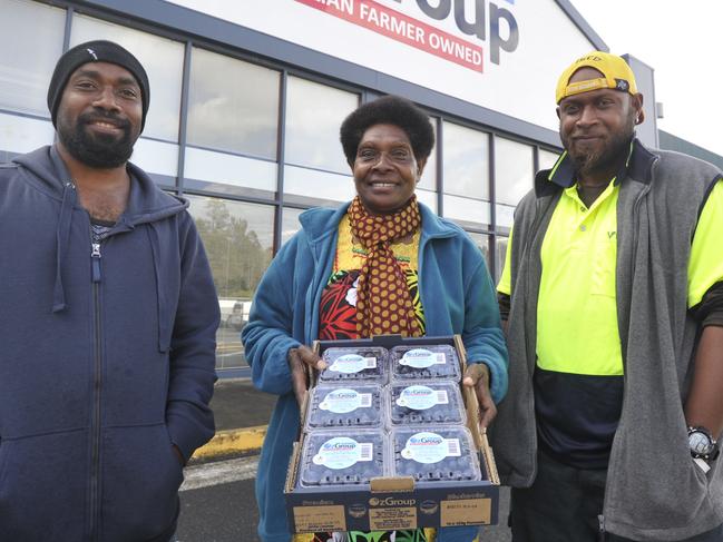 Daniel Wenau, Nettie Viranamanga and Rodman Vuti have all been picking blueberries in Coffs Harbour after travelling from Vanuatu as part of the Pacific Island worker scheme. In 2021 Coffs Harbour blueberry cooperative Ozgroup participated in a program enabling people from Pacific Island nations work on farms in Australia. Photo: Tim Jarrett / Coffs Coast Advocate