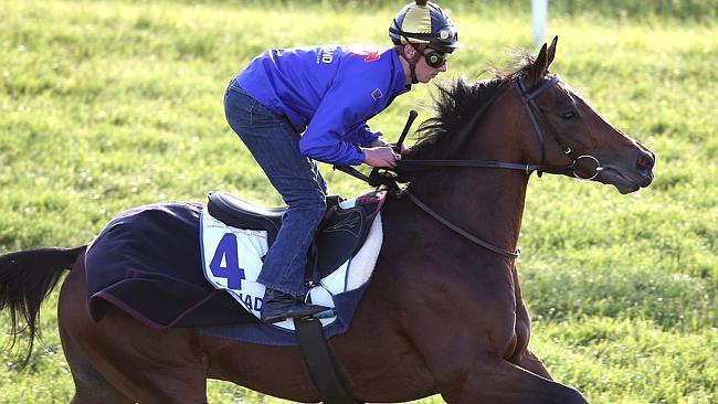 Dunaden works with Alexis Achard in the saddle at Werribee. 