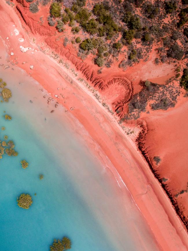 Red pindan desert meets the tropical waters of Roebuck Bay. Mangroves are dotted throughout the shallow water.